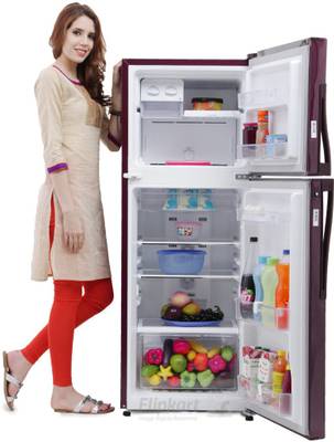 Whirlpool 245 L Frost Free Double Door Refrigerator