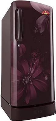 LG 215 L Direct Cool Single Door Refrigerator