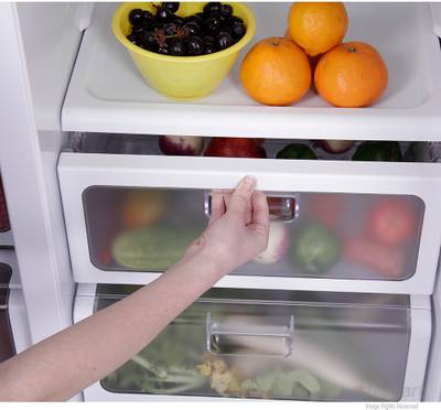 SAMSUNG 591 L Frost Free Side by Side Refrigerator