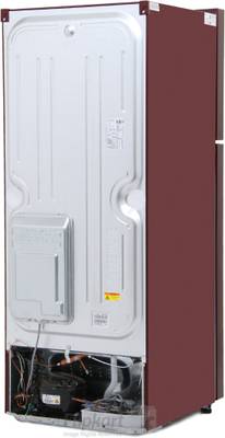 LG 284 L Frost Free Double Door Refrigerator