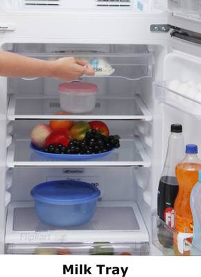 Whirlpool 245 L Frost Free Double Door Refrigerator (NEO FR258 ROY 2S, Midnight Bloom) 