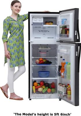 Whirlpool 245 L Frost Free Double Door Refrigerator (NEO FR258 ROY 2S, Midnight Bloom) 