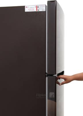 LG 255 L Frost Free Double Door Refrigerator