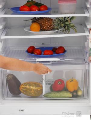 Whirlpool 450 L Frost Free Double Door Refrigerator