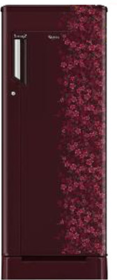 

Whirlpool 215 L Direct Cool Single Door 4 Star Refrigerator with Base Drawer(Wine Exotica, 230 ICEMAGIC ROY 5S)