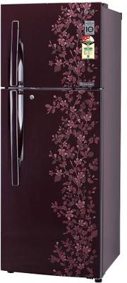 LG 255 L Frost Free Double Door Refrigerator