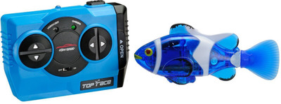 

Saffire Clown Fish(Blue)