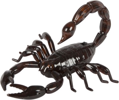 

Building Mart 360 ° Rotating RC Robotic Scorpion Fun Learning Animal Toys(Black)