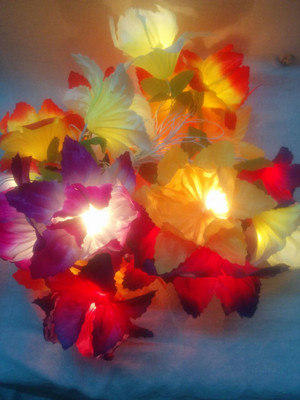 

A To Z Traders 180 inch Multicolor Rice Lights(Pack of 1)