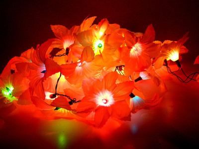

Improvhome 145 inch Red Rice Lights(Pack of 1)