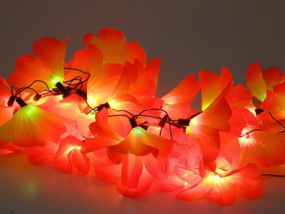 

Improvhome 145 inch Red Rice Lights(Pack of 1)