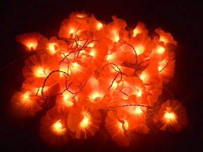 

Improvhome 145 inch Red Rice Lights(Pack of 1)