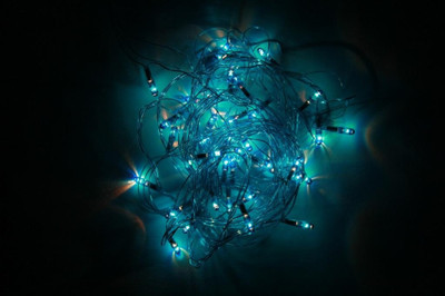 Digilight 200 inch Blue Rice Lights(Pack of 1)
