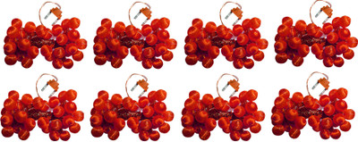 

IMPROVHOME 196 inch Red Rice Lights(Pack of 8)