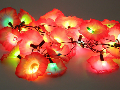 

Improvhome 145 inch Red Rice Lights(Pack of 1)