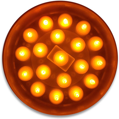 

VRCT 19 inch Gold Rice Lights(Pack of 1)