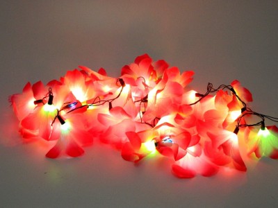 

Improvhome 145 inch Red Rice Lights(Pack of 1)