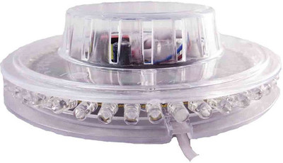 

Home Delight 6 inch Red, Green, Blue, Multicolor Rice Lights(Pack of 1)