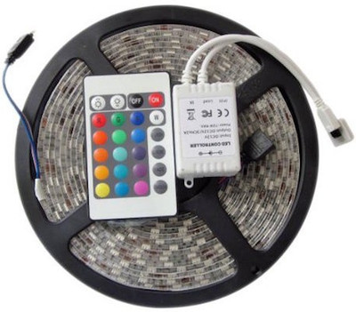 

A To Z Traders 197 inch Blue, Red, Green, Yellow, White, Pink Rice Lights(Pack of 1)