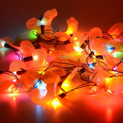 

Improvhome 145 inch Red Rice Lights(Pack of 1)