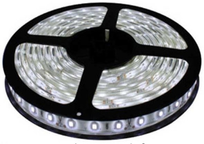 Daylight LED 300 LEDs 4.98 m White Steady Strip Rice Lights(Pack of 1)