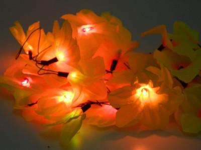 

Improvhome 145 inch Yellow Rice Lights(Pack of 1)