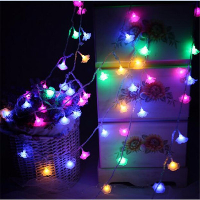 

A To Z Traders 314 inch Multicolor Rice Lights(Pack of 1)