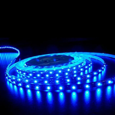 

Toygully 196.85 inch Blue Rice Lights(Pack of 1)