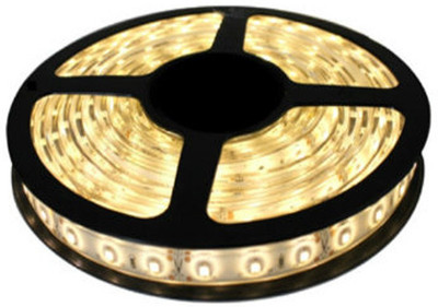 

I Play 196 inch Gold Rice Lights(Pack of 1)