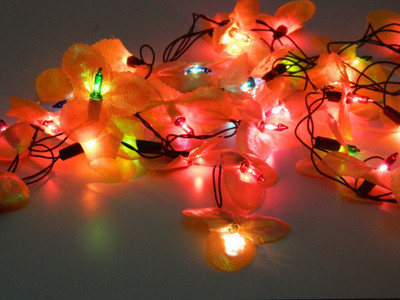 Improvhome 145 inch Red Rice Lights(Pack of 1)
