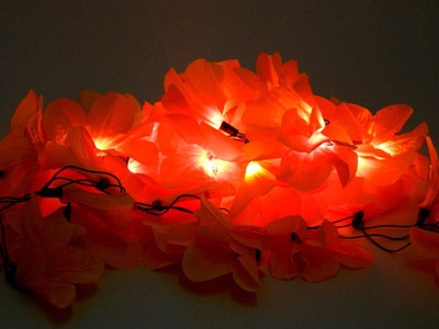 

Improvhome 145 inch Red Rice Lights(Pack of 1)