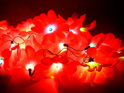 

Improvhome 145 inch Red Rice Lights(Pack of 1)