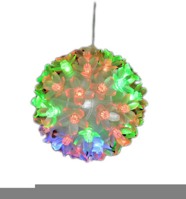 

Home Delight 10 inch Red, Green, Blue, Multicolor Rice Lights(Pack of 1)
