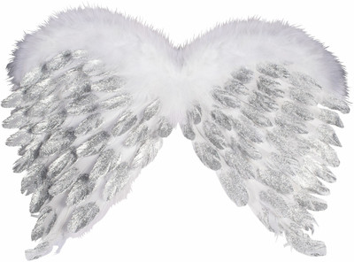 

Forum Novelties Angel Feather Wings with Glitter