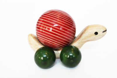 

Aatike Pigo Turtle - Red
