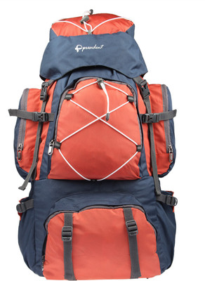 

President MAMMOTH TAN-BLUE Rucksack - 40 L(Multicolor)