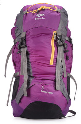 

Senterlan Purple Sgvsl507plbp Backpack Rucksack - 55 L(Purple)