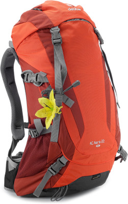 

Deuter AC Aera 22 SL- Women Specific Rucksack(Grey, Orange)