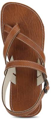 Paduki Men Brown12 Sandals