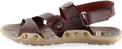 Golite Men Brown Sandals