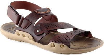 Golite Men Brown Sandals
