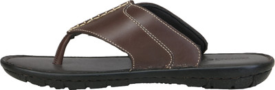 

Ventoland Men Brown Sandals