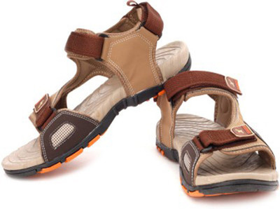 Sparx Men Brown Sandals