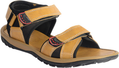 

Shoegaro Men Tan Sandals