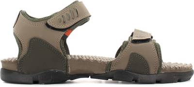 Sparx Men Olive Camel Sandals