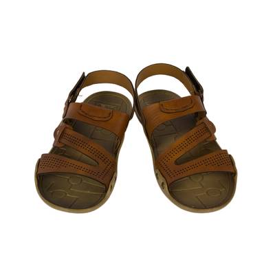 Golite Men Tan Sandals