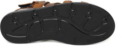 Golite Men Brown Sandals