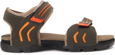 Sparx Men Olive Olive Sandals