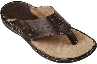 

E-Lyte Men Brown Casual
