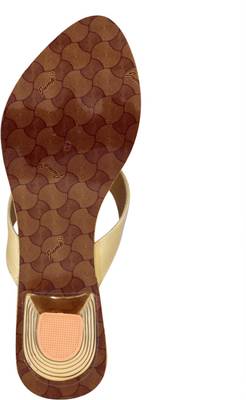 Sapyork Women Blue Heels